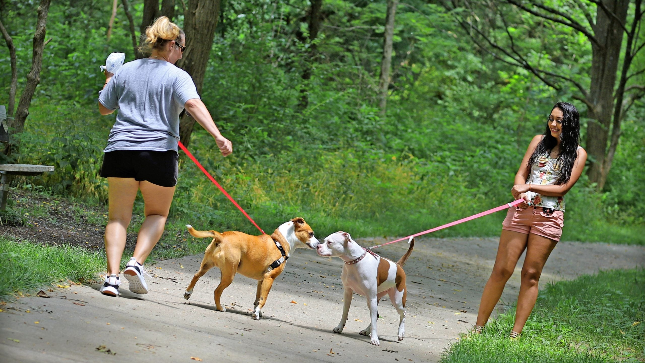Amity Woods Nature Park - Dogs - Lifestyle