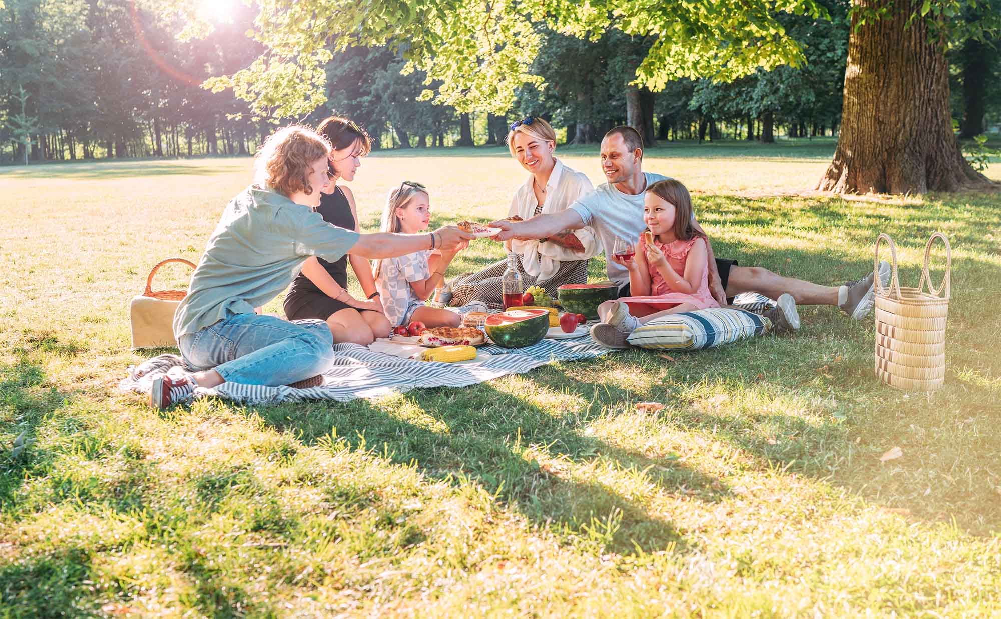 shutterstock_2330449667-optimized